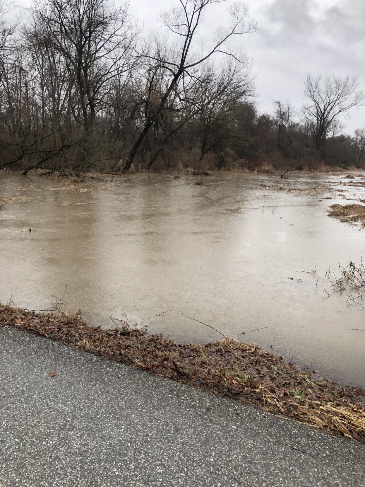 Flood